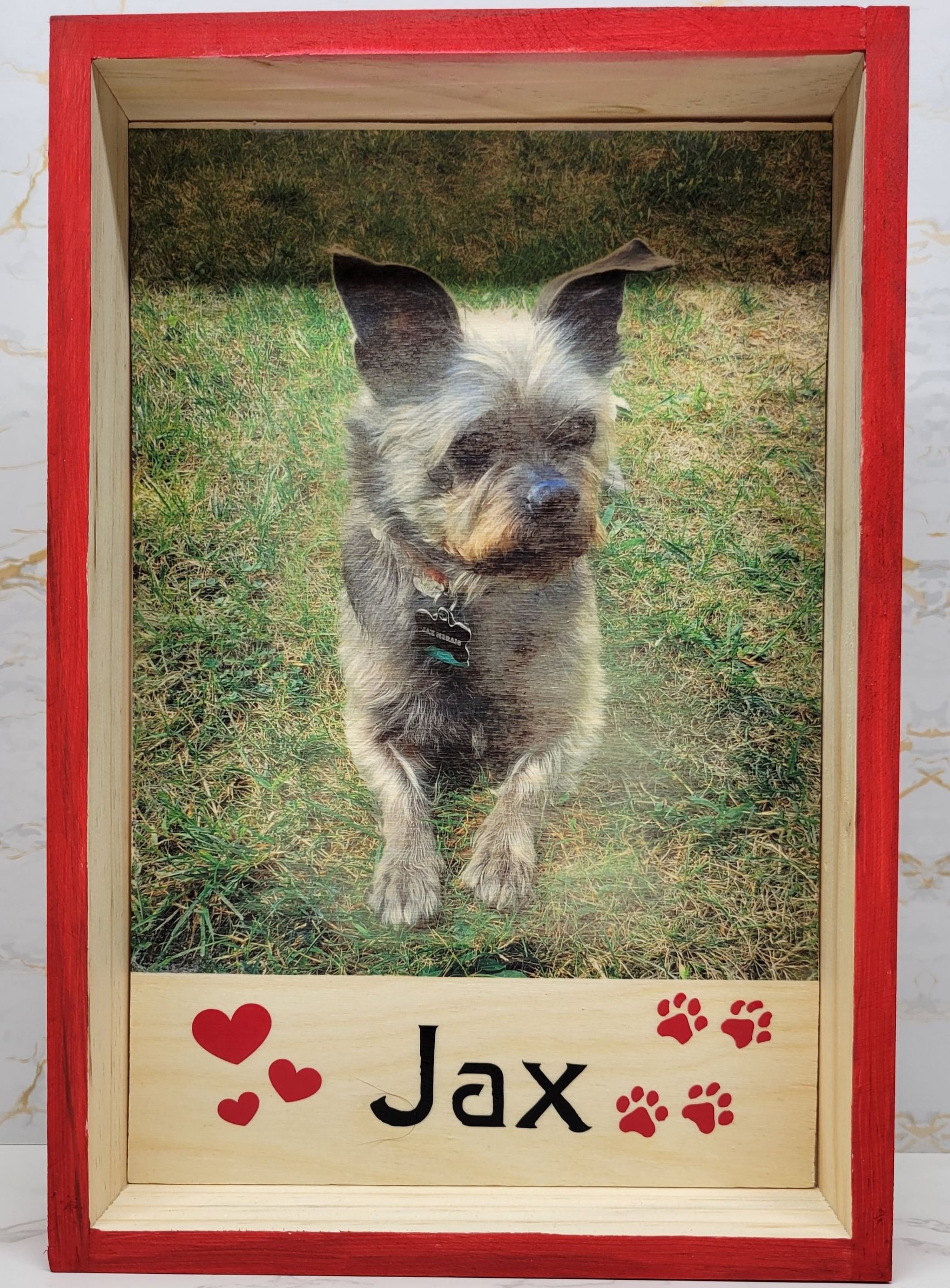 Jax (2)